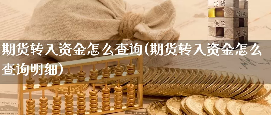 期货转入资金怎么查询(期货转入资金怎么查询明细)_https://www.wsfenghua.com_国际期货直播室_第1张