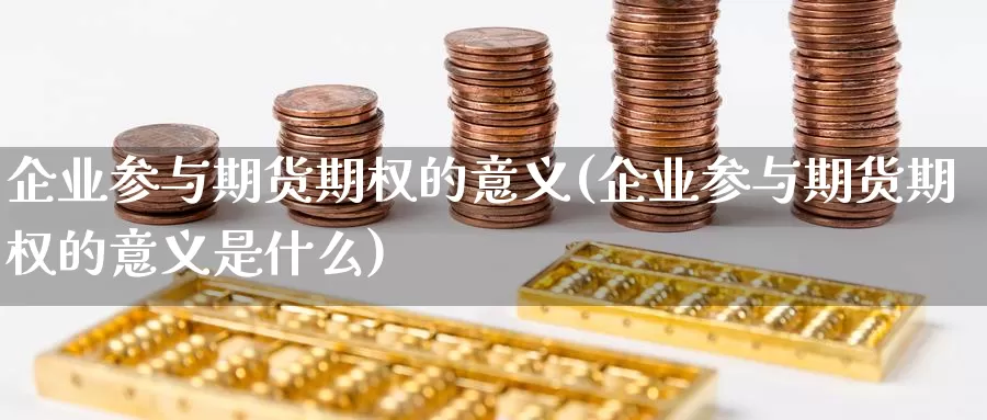 企业参与期货期权的意义(企业参与期货期权的意义是什么)_https://www.wsfenghua.com_期货入门_第1张