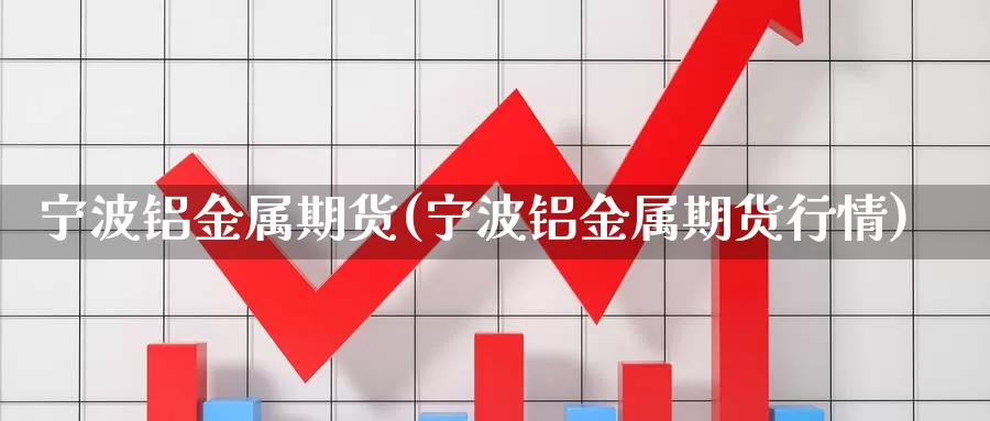 宁波铝金属期货(宁波铝金属期货行情)_https://www.wsfenghua.com_国际期货直播室_第1张