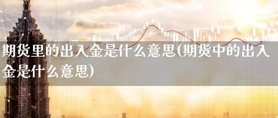 期货里的出入金是什么意思(期货中的出入金是什么意思)_https://www.wsfenghua.com_期货入门_第1张