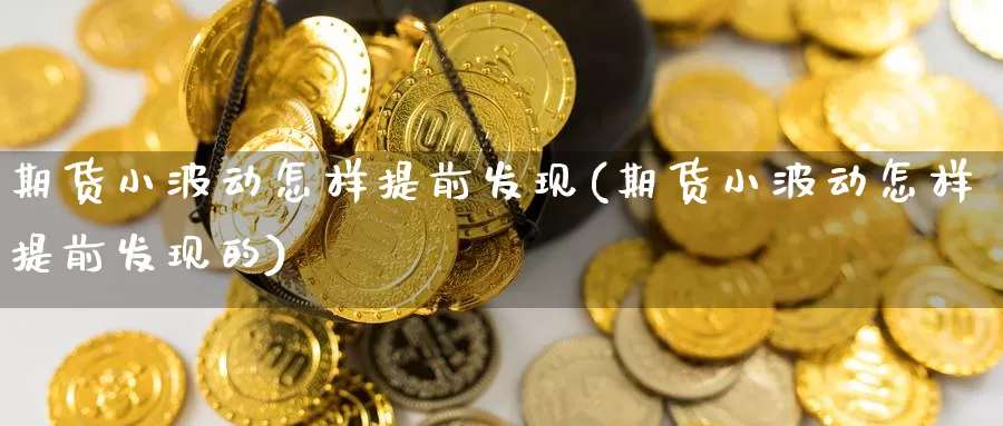 期货小波动怎样提前发现(期货小波动怎样提前发现的)_https://www.wsfenghua.com_国际期货_第1张