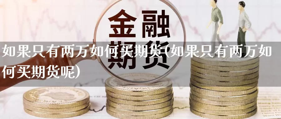 如果只有两万如何买期货(如果只有两万如何买期货呢)_https://www.wsfenghua.com_国际期货_第1张