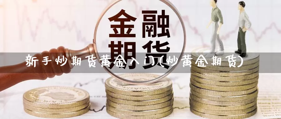 新手炒期货黄金入门(炒黄金期货)_https://www.wsfenghua.com_期货入门_第1张