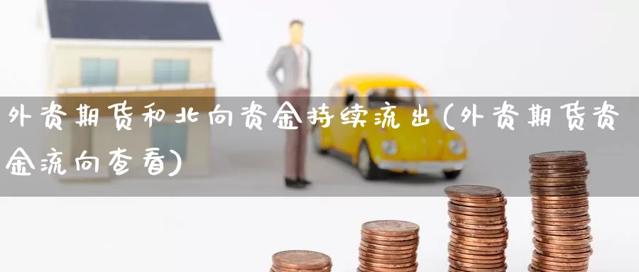 外资期货和北向资金持续流出(外资期货资金流向查看)_https://www.wsfenghua.com_国际期货直播室_第1张