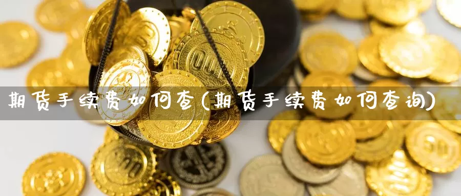 期货手续费如何查(期货手续费如何查询)_https://www.wsfenghua.com_国际期货_第1张