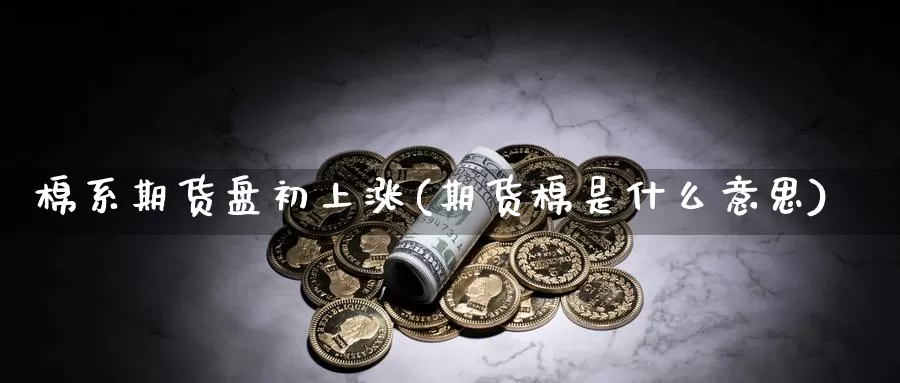 棉系期货盘初上涨(期货棉是什么意思)_https://www.wsfenghua.com_国际期货直播室_第1张