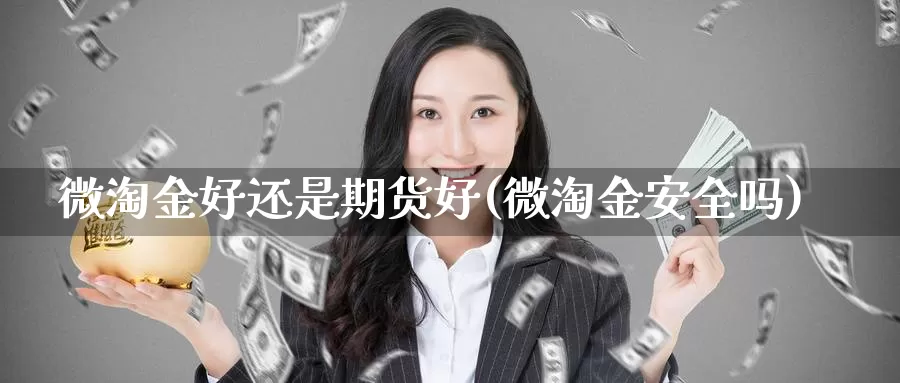 微淘金好还是期货好(微淘金安全吗)_https://www.wsfenghua.com_国际期货_第1张