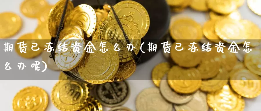 期货已冻结资金怎么办(期货已冻结资金怎么办呢)_https://www.wsfenghua.com_非农数据_第1张