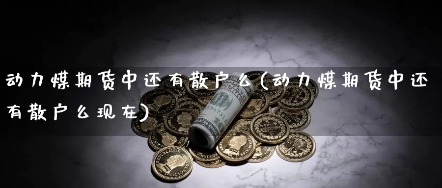 动力煤期货中还有散户么(动力煤期货中还有散户么现在)_https://www.wsfenghua.com_国际期货_第1张