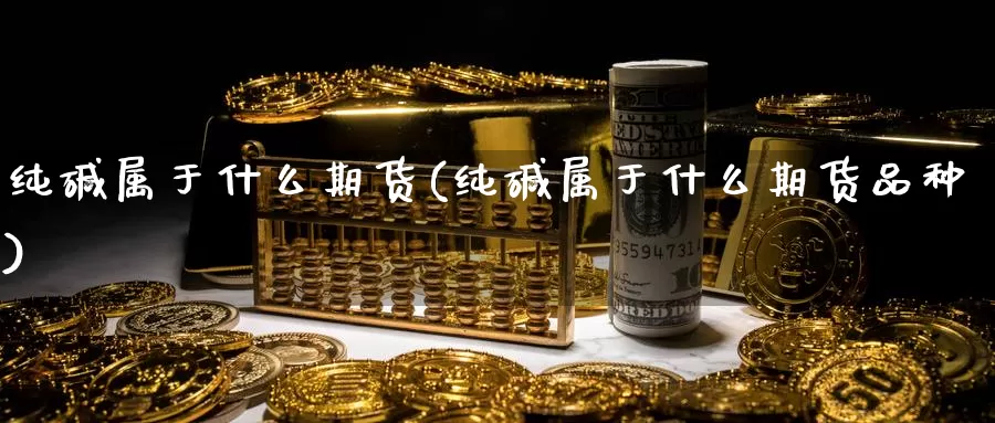 纯碱属于什么期货(纯碱属于什么期货品种)_https://www.wsfenghua.com_国际期货_第1张