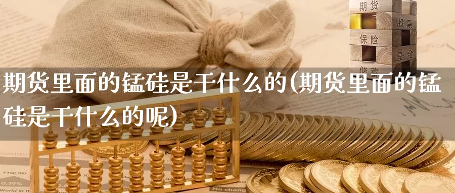 期货里面的锰硅是干什么的(期货里面的锰硅是干什么的呢)_https://www.wsfenghua.com_国际期货_第1张