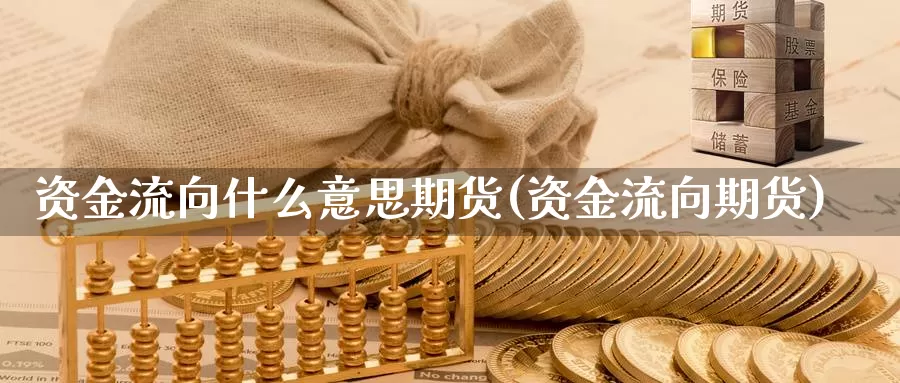 资金流向什么意思期货(资金流向期货)_https://www.wsfenghua.com_国际期货直播室_第1张