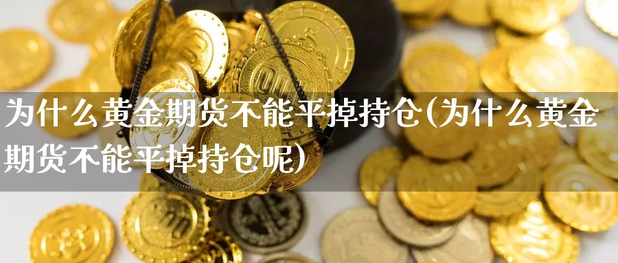 为什么黄金期货不能平掉持仓(为什么黄金期货不能平掉持仓呢)_https://www.wsfenghua.com_国际期货直播室_第1张