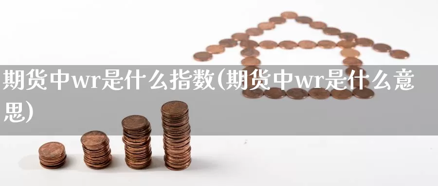 期货中wr是什么指数(期货中wr是什么意思)_https://www.wsfenghua.com_国际期货直播室_第1张