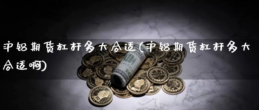 沪铝期货杠杆多大合适(沪铝期货杠杆多大合适啊)_https://www.wsfenghua.com_非农数据_第1张