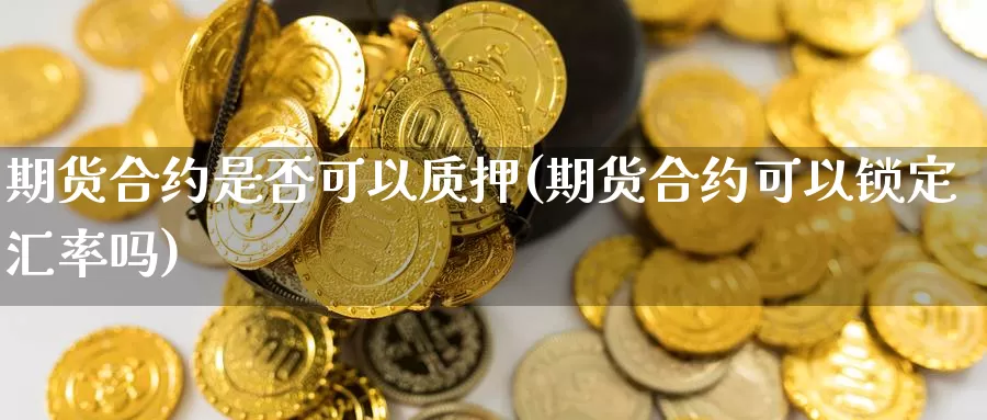 期货合约是否可以质押(期货合约可以锁定汇率吗)_https://www.wsfenghua.com_期货入门_第1张