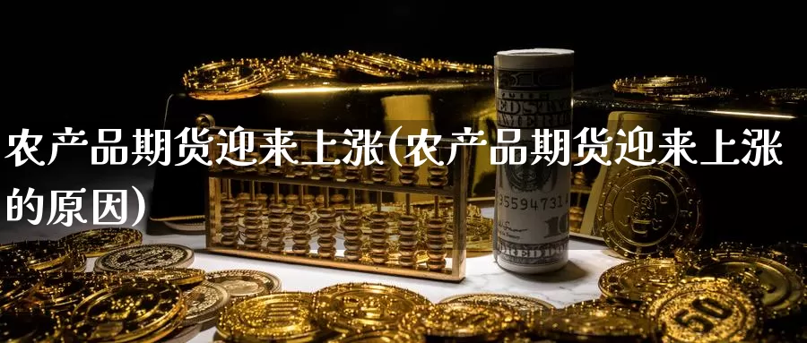 农产品期货迎来上涨(农产品期货迎来上涨的原因)_https://www.wsfenghua.com_国际期货_第1张