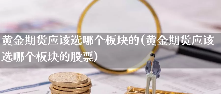 黄金期货应该选哪个板块的(黄金期货应该选哪个板块的股票)_https://www.wsfenghua.com_国际期货直播室_第1张