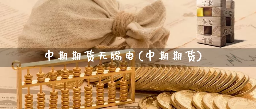 中期期货无锡电(中期期货)_https://www.wsfenghua.com_国际期货_第1张