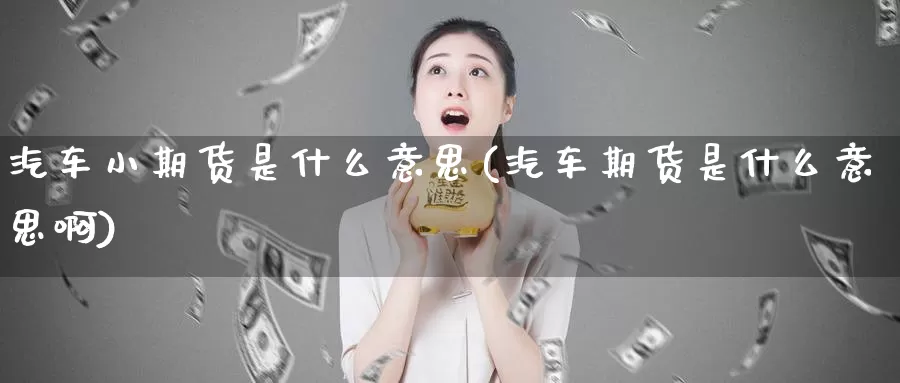 汽车小期货是什么意思(汽车期货是什么意思啊)_https://www.wsfenghua.com_国际期货_第1张