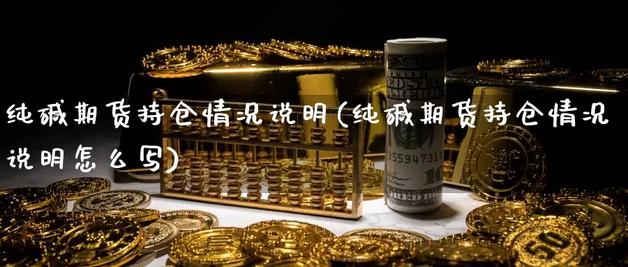 纯碱期货持仓情况说明(纯碱期货持仓情况说明怎么写)_https://www.wsfenghua.com_期货入门_第1张