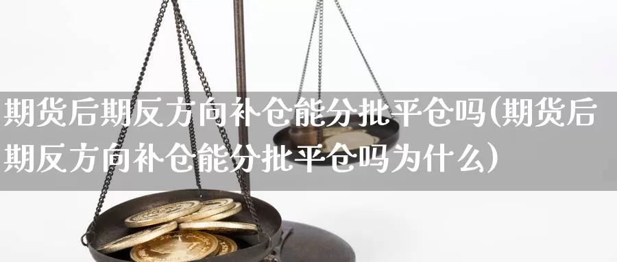 期货后期反方向补仓能分批平仓吗(期货后期反方向补仓能分批平仓吗为什么)_https://www.wsfenghua.com_国际期货直播室_第1张