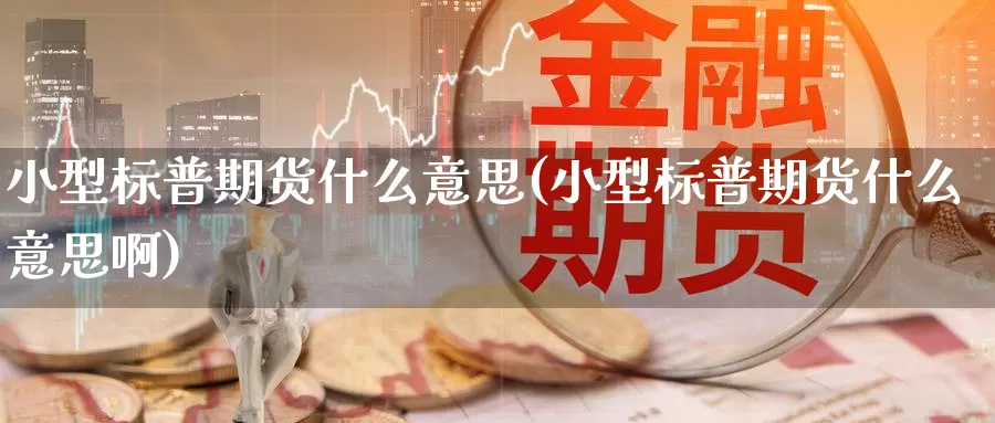 小型标普期货什么意思(小型标普期货什么意思啊)_https://www.wsfenghua.com_国际期货_第1张