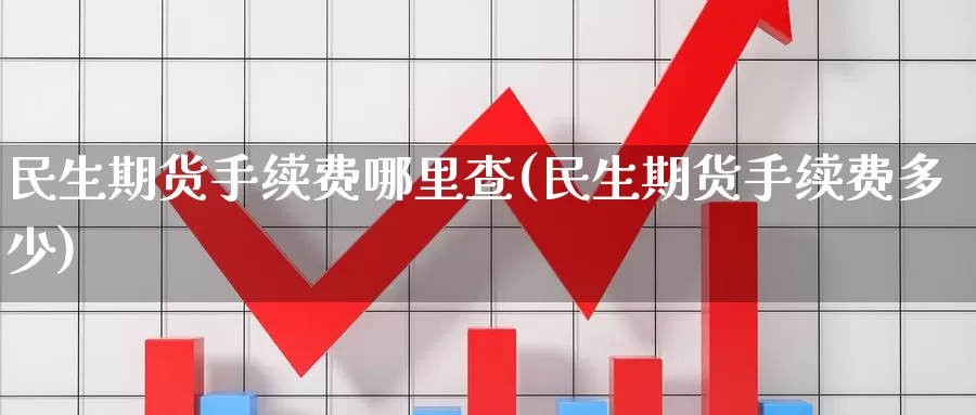 民生期货手续费哪里查(民生期货手续费多少)_https://www.wsfenghua.com_非农数据_第1张