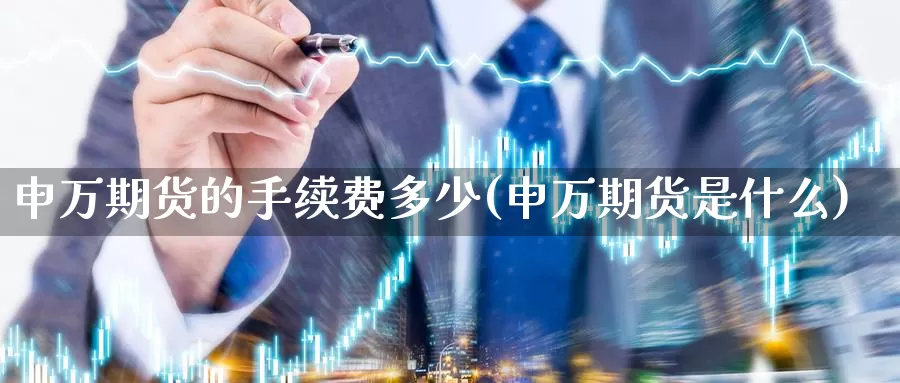 申万期货的手续费多少(申万期货是什么)_https://www.wsfenghua.com_国际期货直播室_第1张