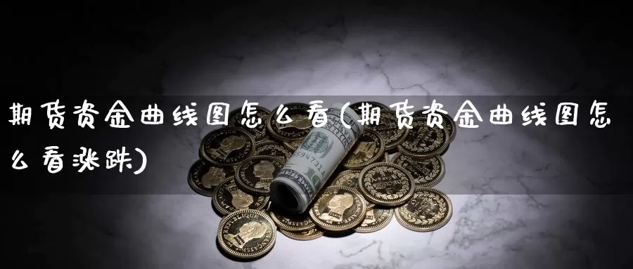 期货资金曲线图怎么看(期货资金曲线图怎么看涨跌)_https://www.wsfenghua.com_国际期货_第1张