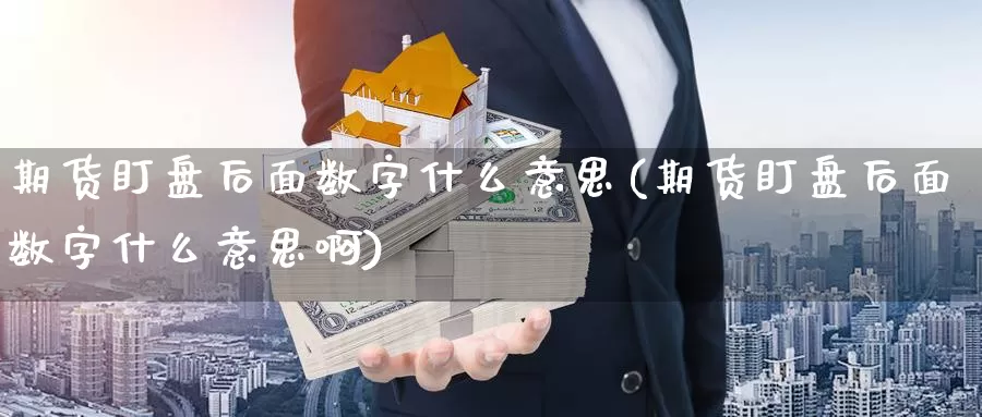 期货盯盘后面数字什么意思(期货盯盘后面数字什么意思啊)_https://www.wsfenghua.com_国际期货_第1张