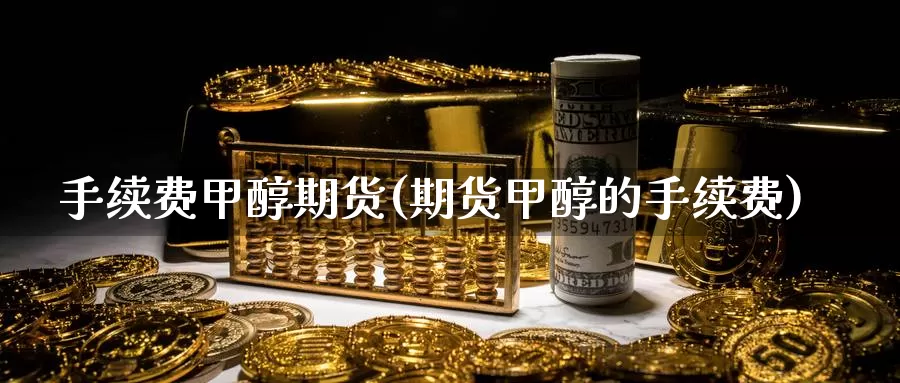 手续费甲醇期货(期货甲醇的手续费)_https://www.wsfenghua.com_期货入门_第1张