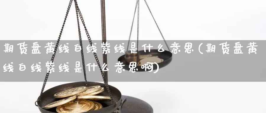 期货盘黄线白线紫线是什么意思(期货盘黄线白线紫线是什么意思啊)_https://www.wsfenghua.com_非农数据_第1张