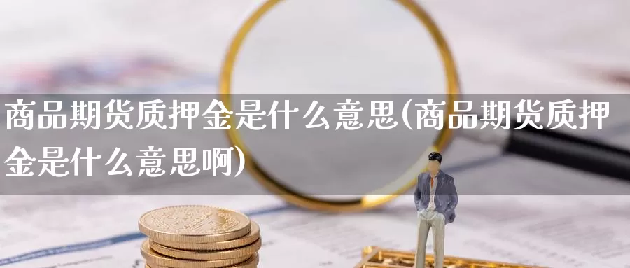 商品期货质押金是什么意思(商品期货质押金是什么意思啊)_https://www.wsfenghua.com_非农数据_第1张