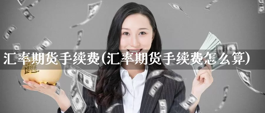 汇率期货手续费(汇率期货手续费怎么算)_https://www.wsfenghua.com_国际期货直播室_第1张