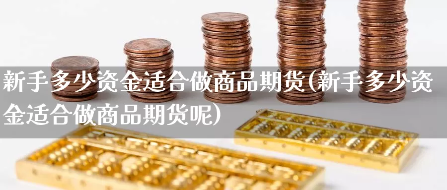 新手多少资金适合做商品期货(新手多少资金适合做商品期货呢)_https://www.wsfenghua.com_国际期货_第1张