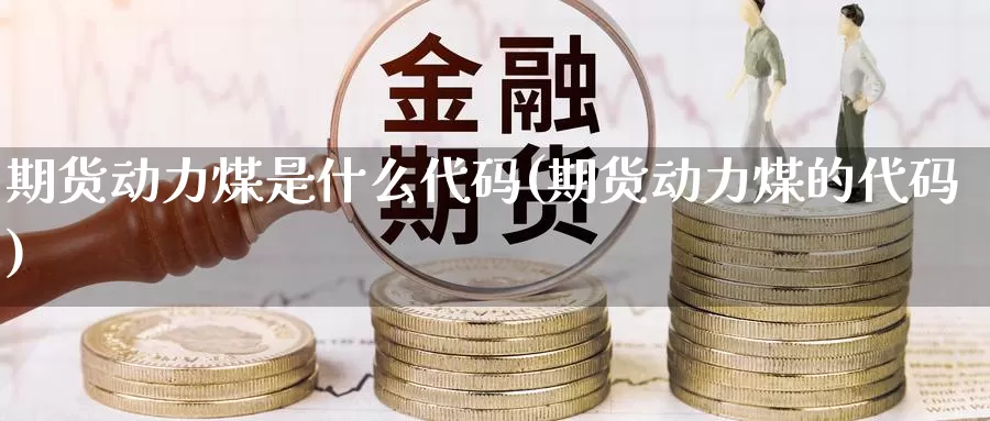 期货动力煤是什么代码(期货动力煤的代码)_https://www.wsfenghua.com_非农数据_第1张