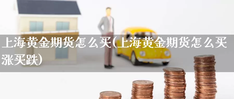 上海黄金期货怎么买(上海黄金期货怎么买涨买跌)_https://www.wsfenghua.com_期货入门_第1张