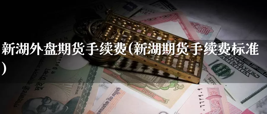 新湖外盘期货手续费(新湖期货手续费标准)_https://www.wsfenghua.com_期货入门_第1张