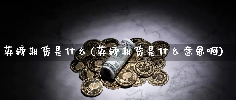 英镑期货是什么(英镑期货是什么意思啊)_https://www.wsfenghua.com_期货入门_第1张