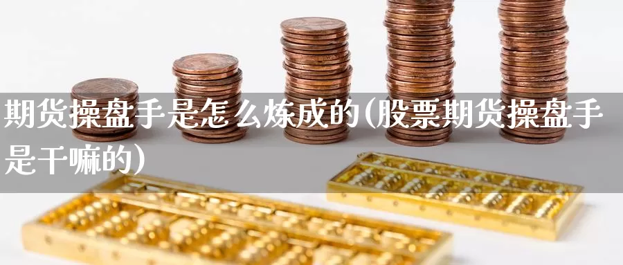 期货操盘手是怎么炼成的(股票期货操盘手是干嘛的)_https://www.wsfenghua.com_国际期货_第1张