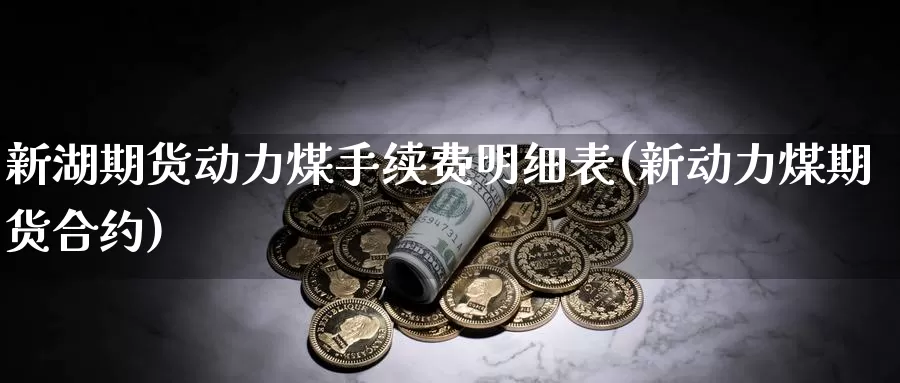 新湖期货动力煤手续费明细表(新动力煤期货合约)_https://www.wsfenghua.com_国际期货直播室_第1张